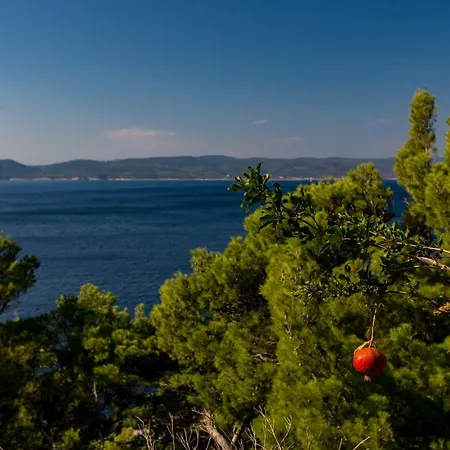 Marija Jakir Apartment