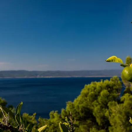 Apartment Marija Jakir *